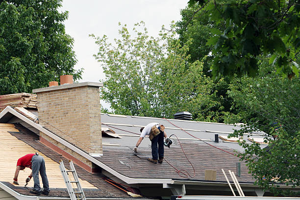 Best Roof Gutter Cleaning  in Arp, TX