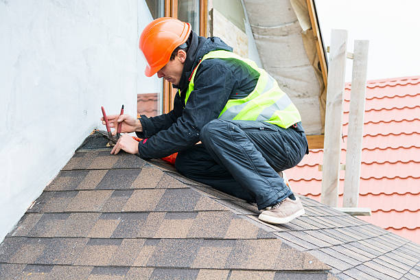 Best Metal Roofing Contractor  in Arp, TX